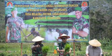 Lahan Persawahan di Pegunungan Tengah