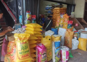 Harga Beras Nonsubsidi naik 10%