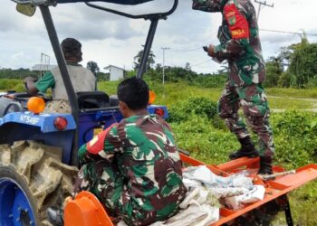 Kodim 1715/Yahukimo Bantu Petani Lakukan Pengolahan Lahan Sawah