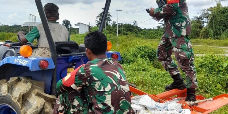 Kodim 1715/Yahukimo Bantu Petani Lakukan Pengolahan Lahan Sawah