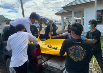 Polisi Selidiki Kasus Penganiayaan Berat yang Terjadi di Perumahan BTN Sosial Dekai, Kabupaten Yahukimo