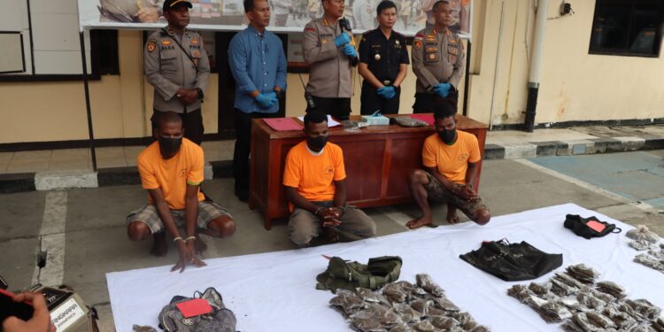 Petugas Gagalkan Masuknya 11 Kg Ganja Melalui Batas Negara, 3 Warga PNG Diamankan