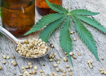 Sikat Narkoba, Polisi Bekuk 4 Pelaku di Pelabuhan Jayapura Beserta BB Masing-masing