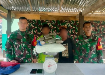 Korem 172/PWY Kembali Gagalkan Upaya Penyelundupan 2 Kg Ganja Di Wilayah Perbatasan RI-PNG