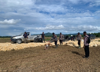 Polres Keerom Membentuk Tim Sukseskan Food Estate Jagung
