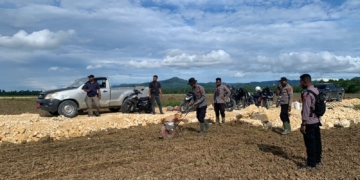 Polres Keerom Membentuk Tim Sukseskan Food Estate Jagung