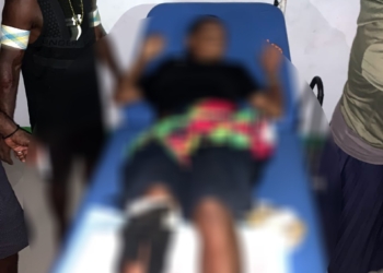 Polisi Berhasil Amankan Pelaku Penganiayaan Berat di Nduga