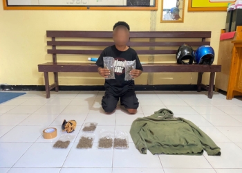 Polres Yapen Amankan Pelaku Penyalahgunaan Narkoba Jenis Ganja