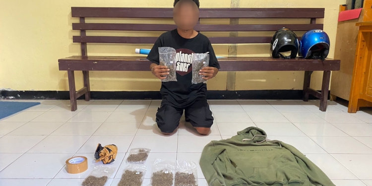 Polres Yapen Amankan Pelaku Penyalahgunaan Narkoba Jenis Ganja