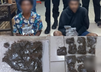 Bawa Ganja, Dua Calon Penumpang Kapal Diamankan Polisi