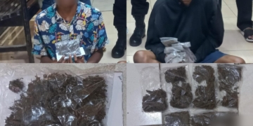 Bawa Ganja, Dua Calon Penumpang Kapal Diamankan Polisi