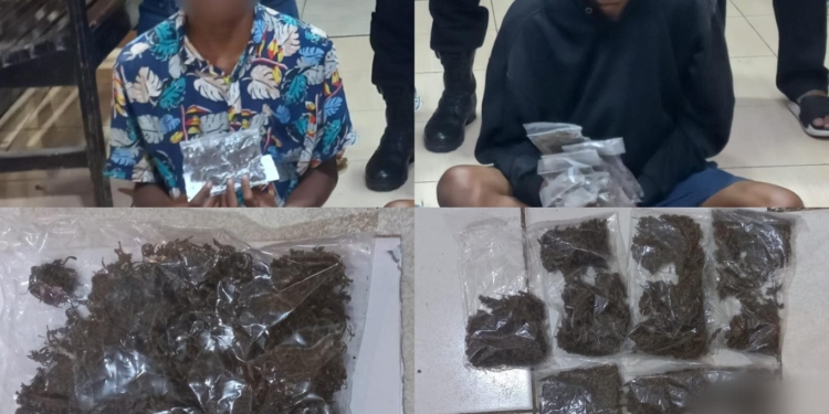 Bawa Ganja, Dua Calon Penumpang Kapal Diamankan Polisi