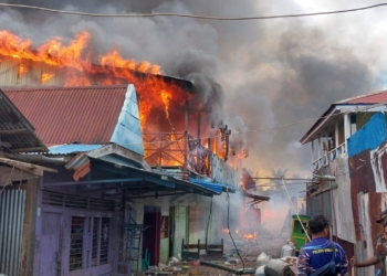 Kebakaran di Wanam Merauke, TNI, Polri, dan Masyarakat Berjibaku Padamkan Api