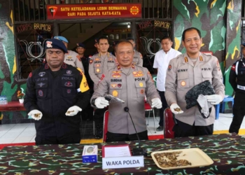 Aparat Temukan Senpi dan Amunisi di Hutan Jayapura