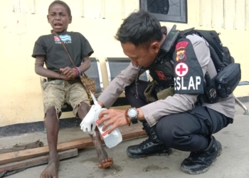 Keladi Sagu Bantu Anak-anak di Puncak Obati Penyakit Kulit