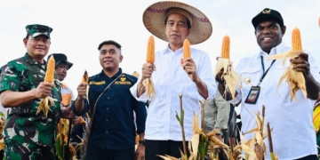 Presiden Jokowi Tinjau Ladang Jagung di Kabupaten Keerom