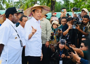 Indonesia Terbuka Untuk Kerja Sama Hilirisasi Dengan PNG