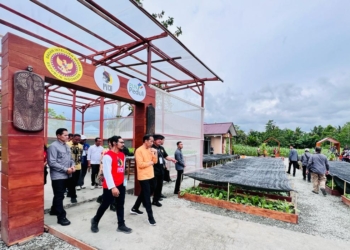 Presiden Jokowi Apresiasi Kegiatan di Waibu Agro Eduwisata