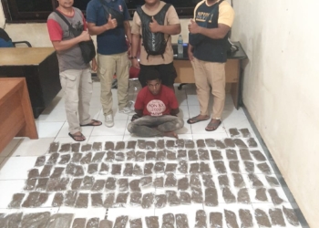 Miliki Ganja, Warga Negara Asing Ditangkap Aparat