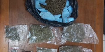 Polsek KPL Gagalkan Penyelundupan Ganja di Pelabuhan Jayapura