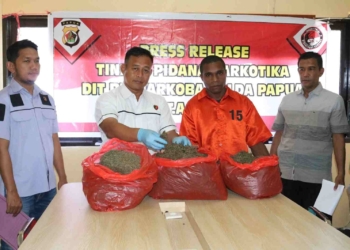 Polda Papua Berhasil Ungkap Dua Kasus Narkoba, 3 Orang Diamankan