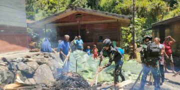 Satgas Yonif R 631/ATG Hadiri Acara Bakar Batu Di Desa Beanekogom