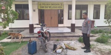 Polsek Onggaya Berhasil Amankan Ratusan Liter Milo Jenis Sopi dan Sageru