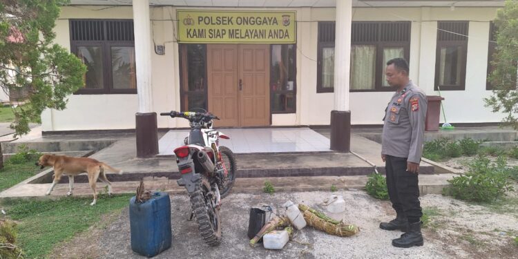 Polsek Onggaya Berhasil Amankan Ratusan Liter Milo Jenis Sopi dan Sageru