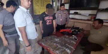 36 Bungkus Ganja Diamankan Petugas di Bandara Sentani