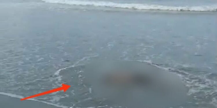 2 Korban Tengelam di Pantai Holtekam Ditemukan