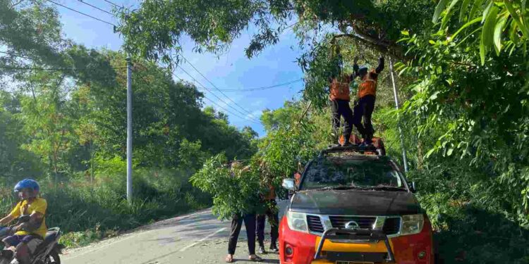 Respon Keluhan Warga, Tim SAR Brimob Polda Papua dan LKKJ Bersihkan Dahan Pohon yang Menghalang