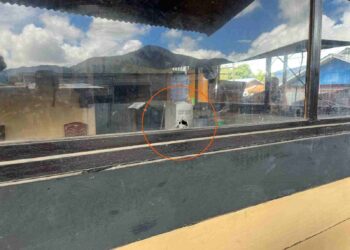 Polres Dogiyai Tangani Kasus Penembakan oleh OTK