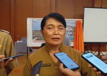 Enam Puskesmas di Kota Jayapura Terapkan Layanan BLUD