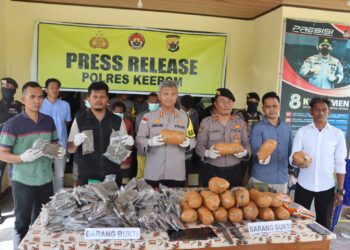 Polres Keerom Amankan 20 KG Narkotika Jenis Ganja, Tiga dari Lima Pelaku Merupakan Warga Asing