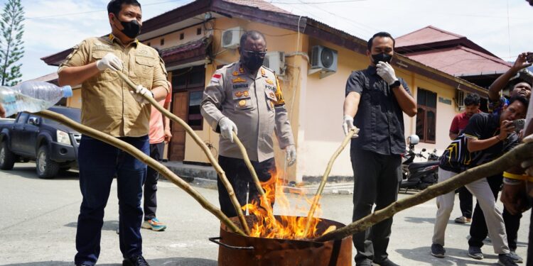 Polres Jayapura Polda Papua Musnahkan Barang Bukti Ganja dan Sabu Hasil Pengungkapan Kasus