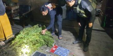 Satgas Yonif 512/QY Berhasil Bersihkan Gubug OPM dan Ladang Ganja Seluas  ±5000 M² di Pegunungan Bintang.