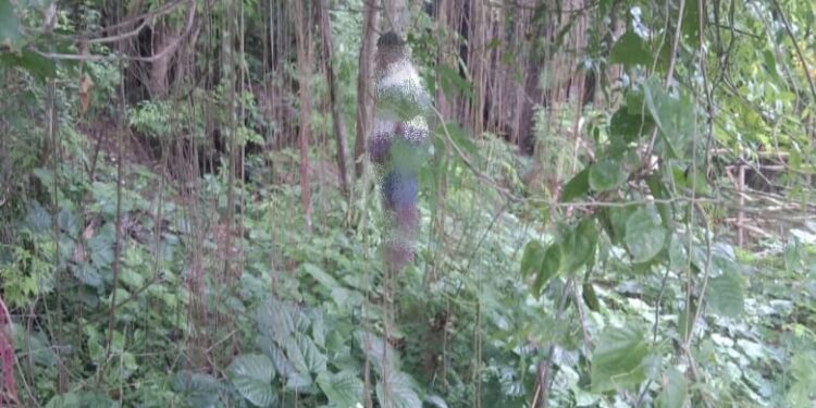 Sesosok Mayat Laki-laki Ditemukan Gantung Diri Di Polimak I, Polisi Lakukan Penyelidikan