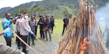 Kapolda Papua Tengah bersama Danrem 173/PVB serta Forkopimda Puncak Jaya Laksanakan Pemusnahan Barang Bukti Berupa Alat Perang dan Alat Tajam