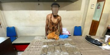 Bawa 36 Paket Ganja Kering, YW Diciduk Tim Opsnal Narkoba Polresta