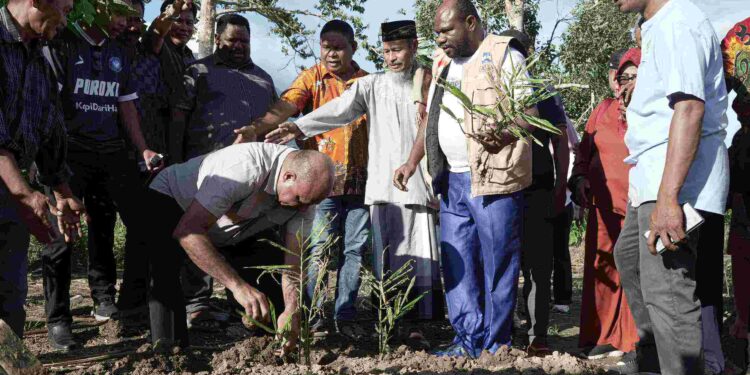 Tanam Jahe Dengan Masyarakat Muna Kabupaten Jayapura Mari-Yo Akan Berupaya Sejahterakan Petani