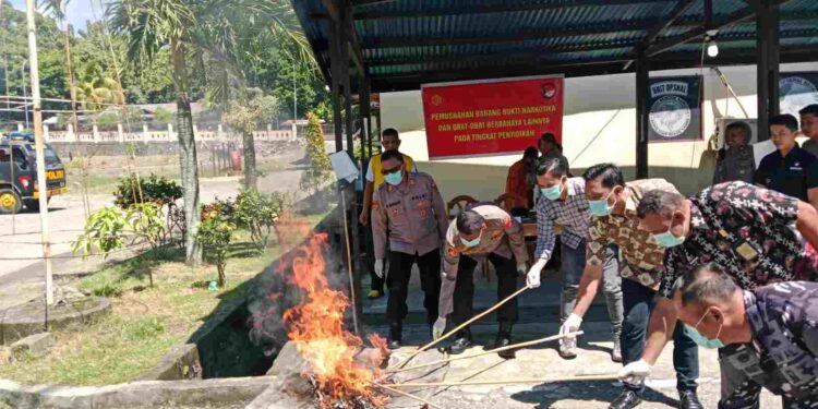 Polres Nabire Musnahkan 29,95 Gram Ganja dan 23,38 Gram Sabu