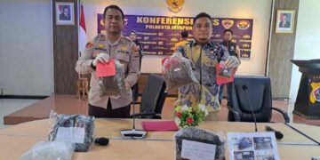 Kapolresta Ungkap : Pengiriman Ganja Lewat Jasa Pengiriman, YW Diamankan Opsnal Narkoba di APO Bengkel