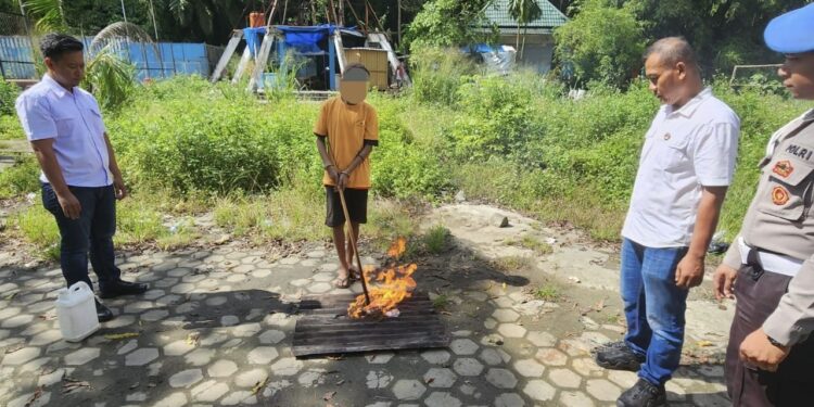 Polisi Musnahkan Barang Bukti Narkotika Jenis Ganja Disaksikan Jaksa Dan Tersangkanya