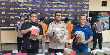 Kedapatan Membawa 71 Paket Ganja, Pelaku di Amankan Aparat Kepolisian