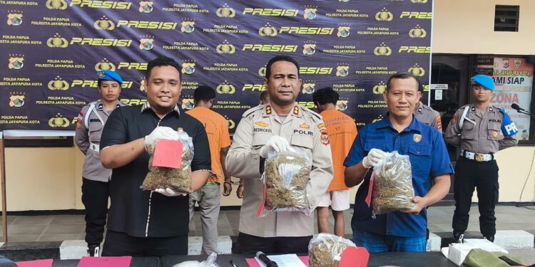 Kedapatan Membawa 71 Paket Ganja, Pelaku di Amankan Aparat Kepolisian