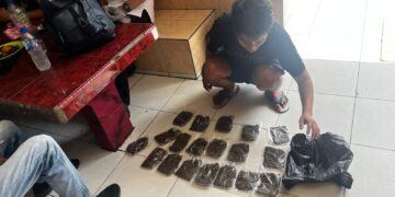 Berencana Bawa Ganja ke Wamena, Seorang Pria Diamankan Petugas Bandara