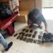 Berencana Bawa Ganja ke Wamena, Seorang Pria Diamanakan Petugas Bandara