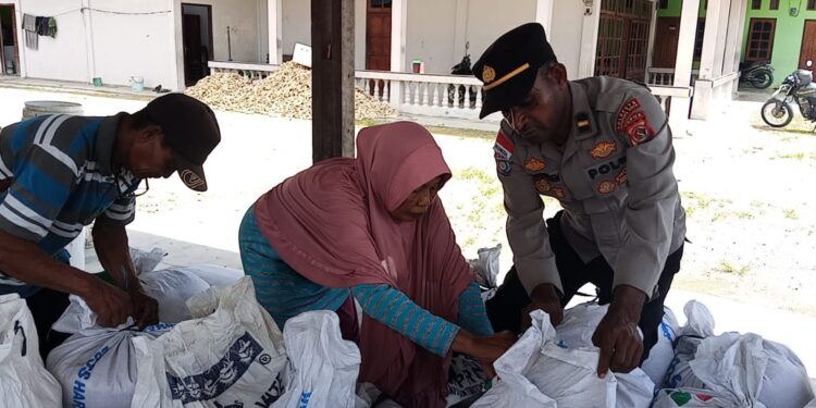 Panen Berkah, Polresta Jual Hasil Jagung Bersama Petani