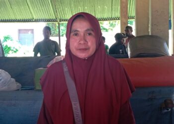 MDF Makin Disenangi Oleh Warga Jelang PSU