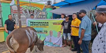 Matius Fakhiri Serahkan Hewan Kurban Bagi Masyarakat Masjid Agung Darusalam Kepulauan Yapen